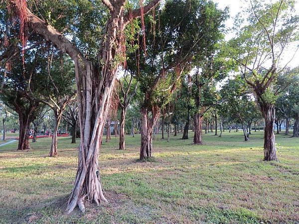 台北捷運, 紅線, 信義線, 大安森林公園站