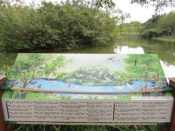 大安森林公園, 捷運大安森林公園站, 台北市大安區