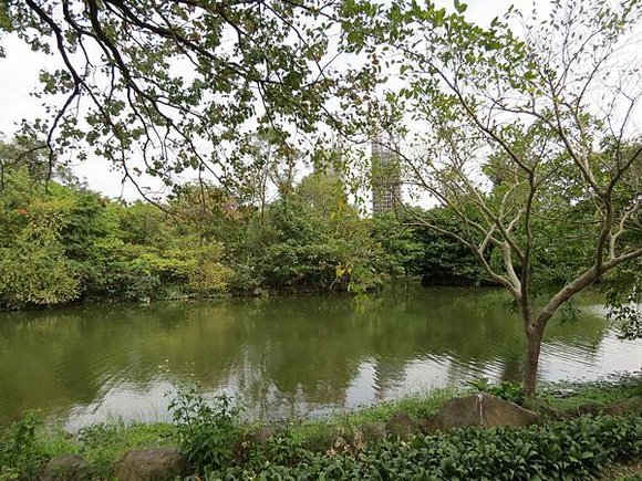 大安森林公園, 捷運大安森林公園站, 台北市大安區