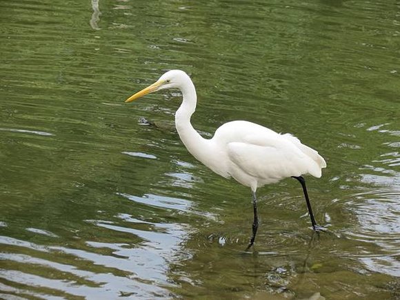 大安森林公園, 捷運大安森林公園站, 台北市大安區大安森林公園, 捷運大安森林公園站, 台北市大安區