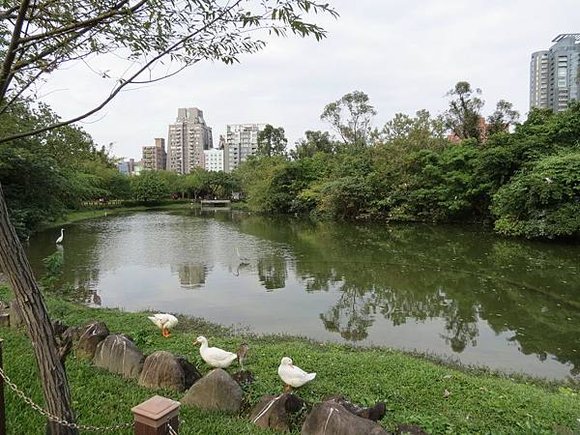 大安森林公園, 捷運大安森林公園站, 台北市大安區