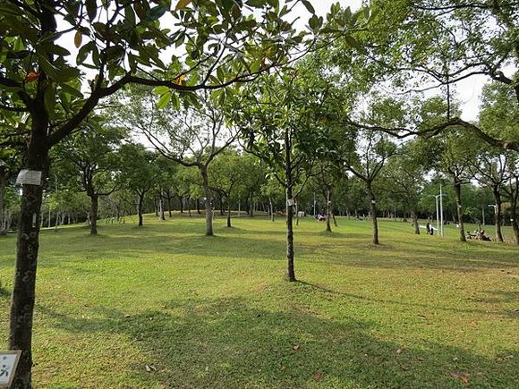 大安森林公園, 捷運大安森林公園站, 台北市大安區