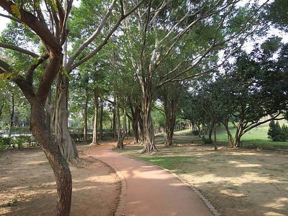 大安森林公園, 捷運大安森林公園站, 台北市大安區