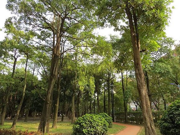 大安森林公園, 捷運大安森林公園站, 台北市大安區