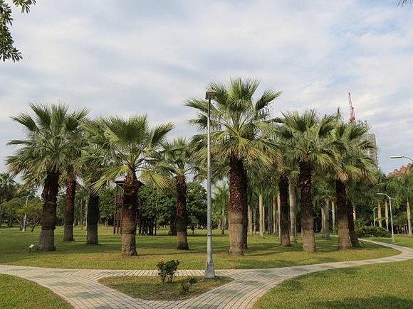 大安森林公園, 捷運大安森林公園站, 台北市大安區