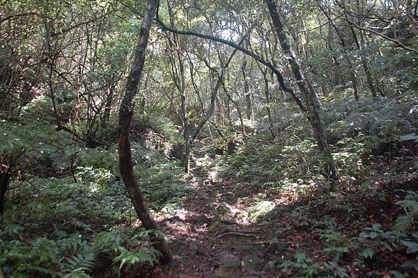 皇帝殿登山步道