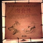 冰原奇跡-史前巨獸．長毛象特展