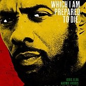 Movie, Mandela: Long Walk to Freedom(曼德拉:漫漫自由路)(曼德拉-自由之路), 電影海報