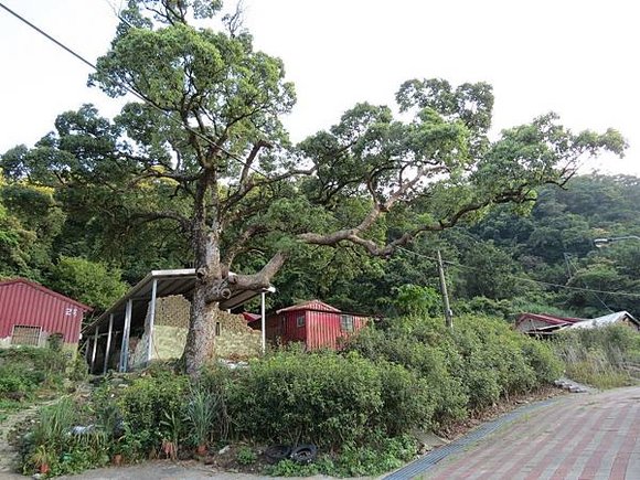 余氏古厝, 台北市, 南港區, 舊莊路二段