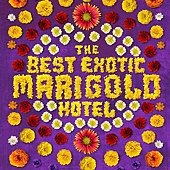 Movie, The Best Exotic Marigold Hotel / 金盞花大酒店 / 涉外大酒店 / 黃金花大酒店, 電影海報