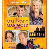 Movie, The Best Exotic Marigold Hotel / 金盞花大酒店 / 涉外大酒店 / 黃金花大酒店, 電影海報