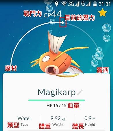 App, 精靈寶可夢GO, 寶可夢資料介面