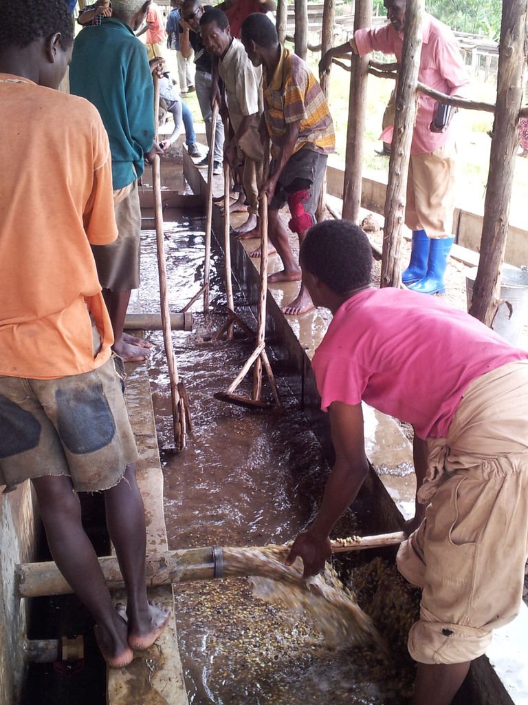 chicho washing