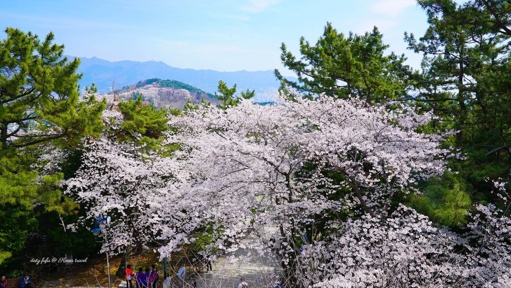 20170404-DSC03152.JPG