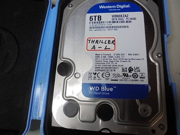 【摔落損傷】WD威騰裸碟3.5吋6TB～裸碟當資料碟插入硬碟