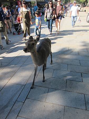 IMG_5735