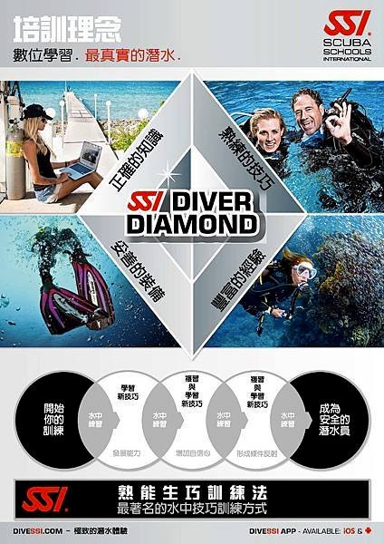 SSI_Diamond_Poster_2016_BG5.jpg