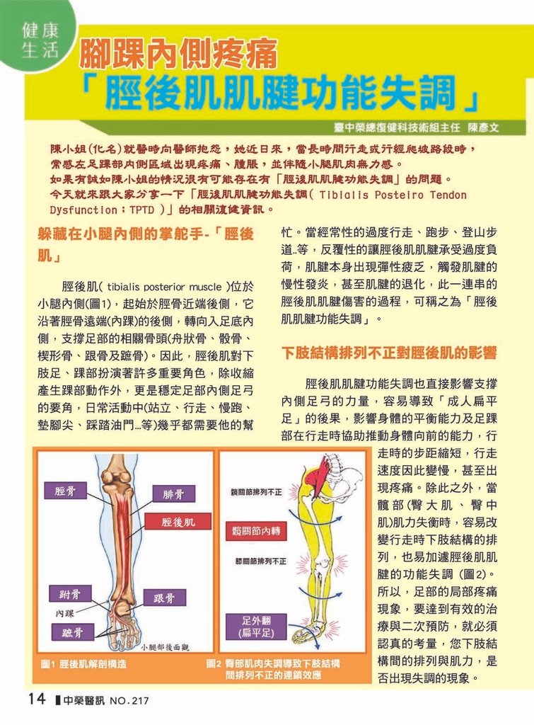 腳踝內側疼痛：脛後肌肌腱功能失調_頁面_1.jpg