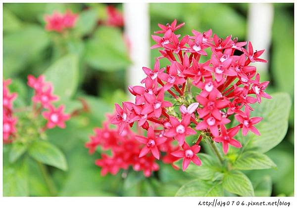 123IMG_9875