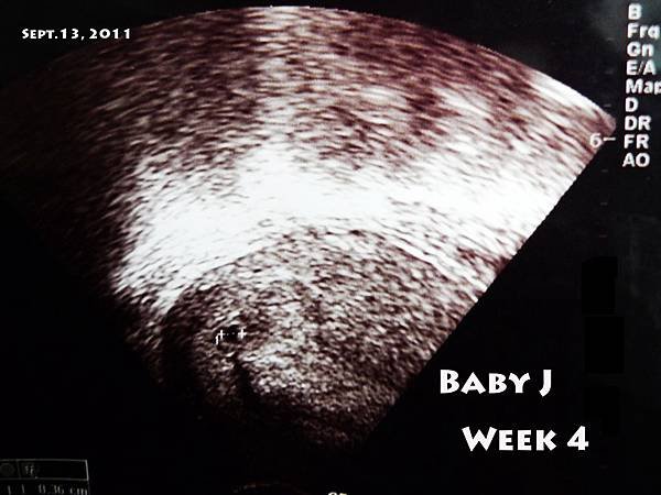 Baby J Week 4.jpg