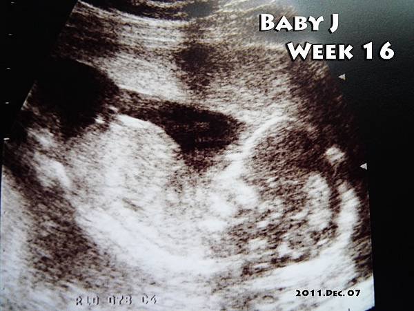 Baby J Week 16.jpg