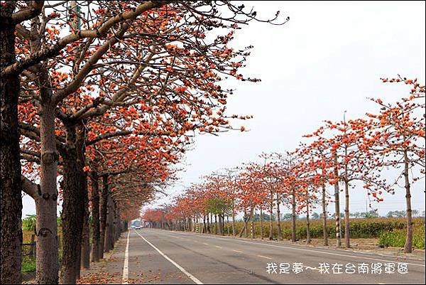 台南01.jpg