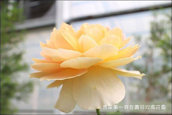 杉林溪10.jpg