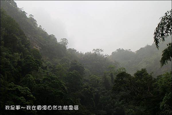 圓潭賞螢18.jpg
