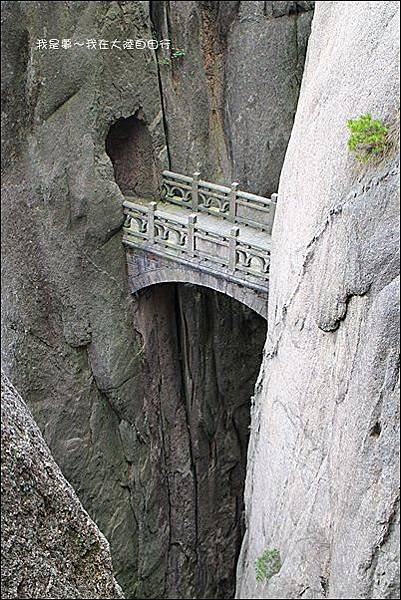 上海蘇杭黃山九天11.jpg