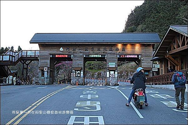 阿里山國家森林遊樂區01.jpg