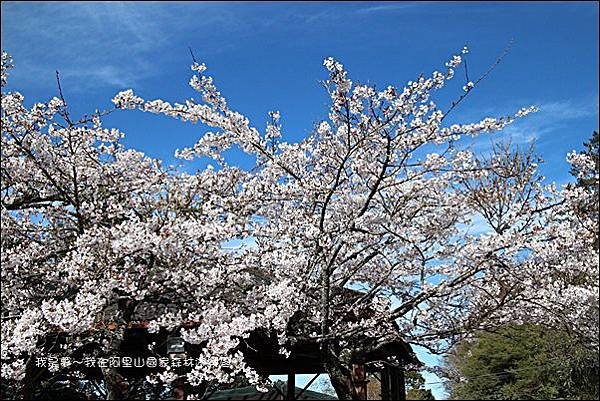 阿里山國家森林遊樂區18.jpg