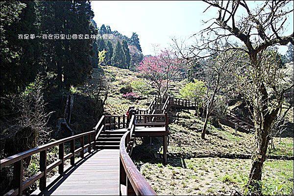 阿里山國家森林遊樂區34.jpg