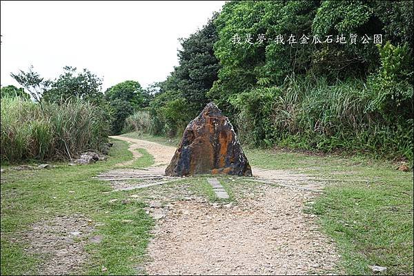 金瓜石地質公園04.jpg
