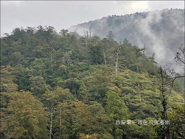 司馬庫斯77.jpg