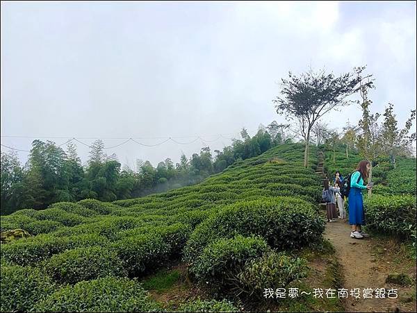 武岫農場+銀杏森林10.jpg