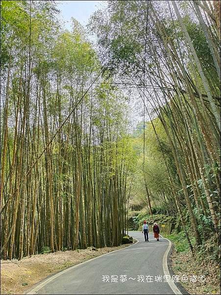 瑞里綠色隧道06.jpg