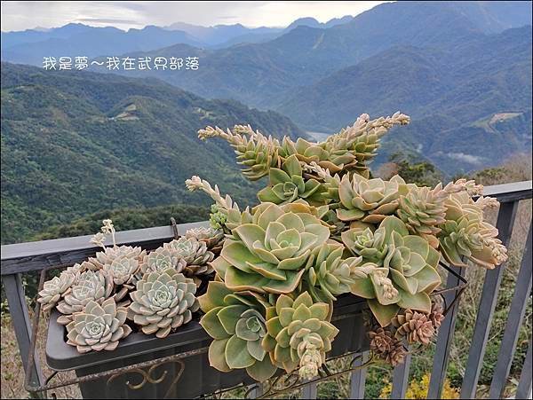 武界部落91.jpg