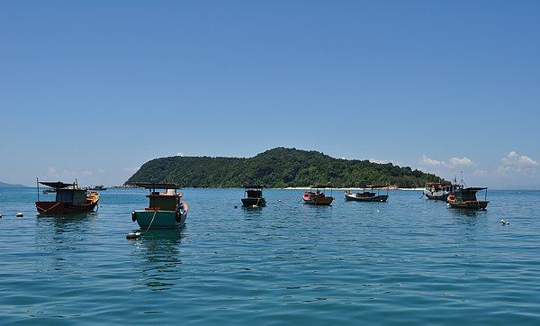 DSC_0230.JPG