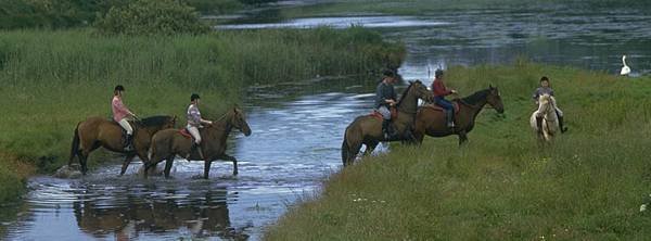 English-Horse-Riding-Programme1.jpg