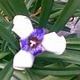 201104011100.jpg