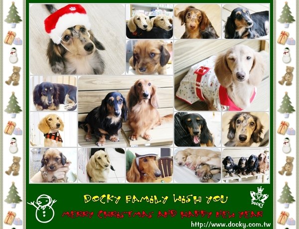 dockyxmas拷貝-1.jpg