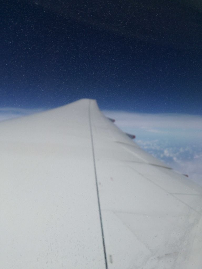 DSC_0538.jpg