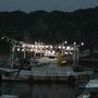 DSC02013.JPG