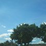 DSC00355.JPG