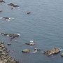 DSC01987.JPG
