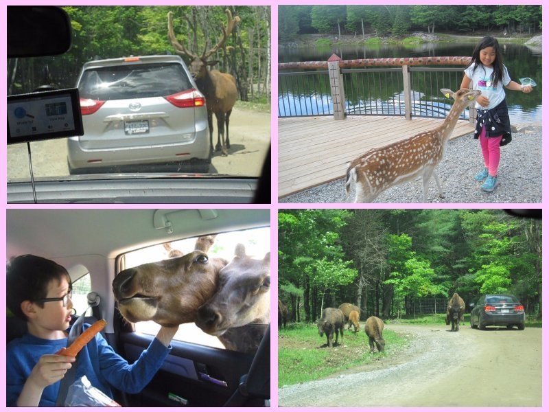 parc omega-01