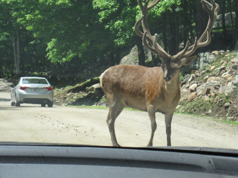 parc omega-06