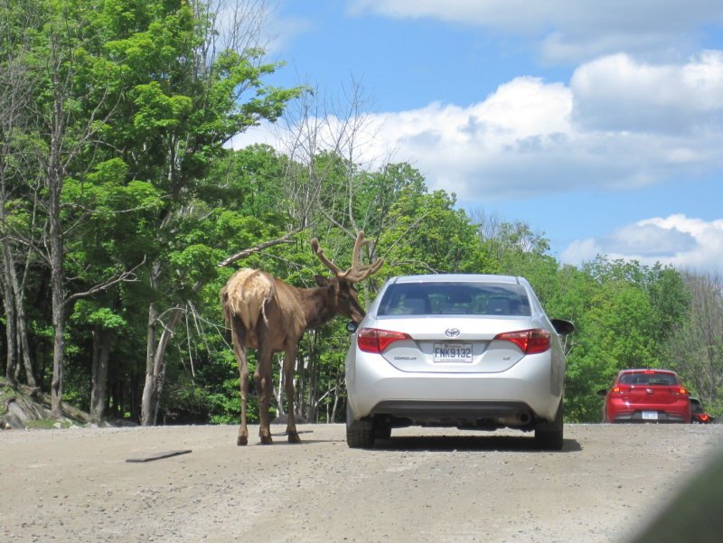 parc omega-05