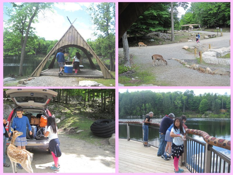 parc omega-12