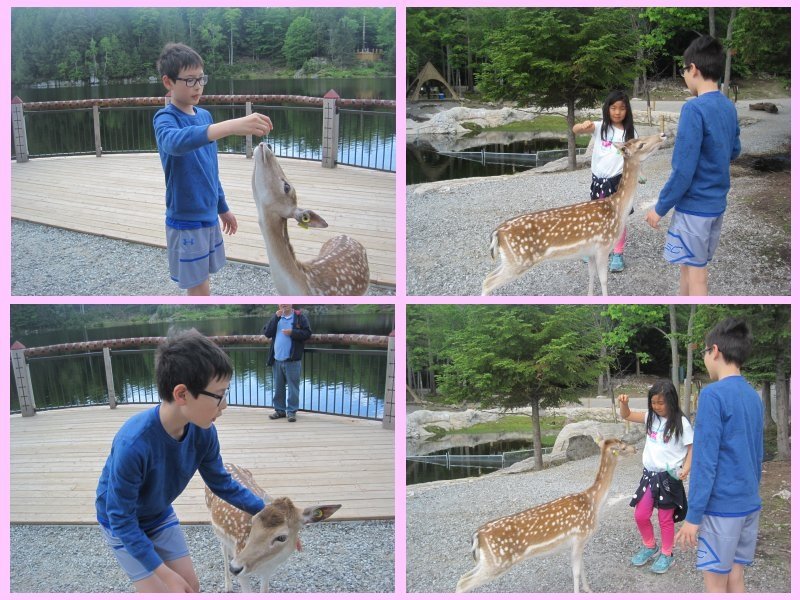 parc omega-13